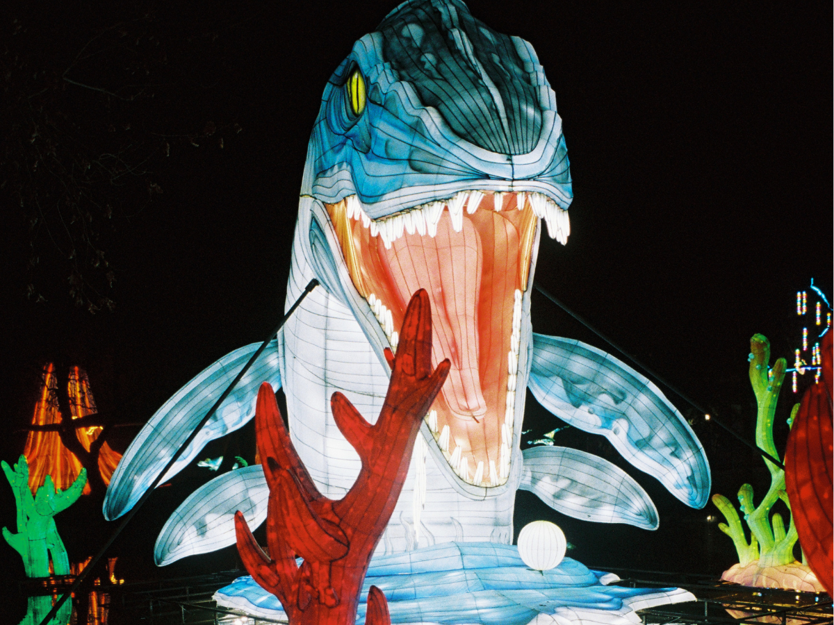 Shark-shaped lantern with open mouth at night