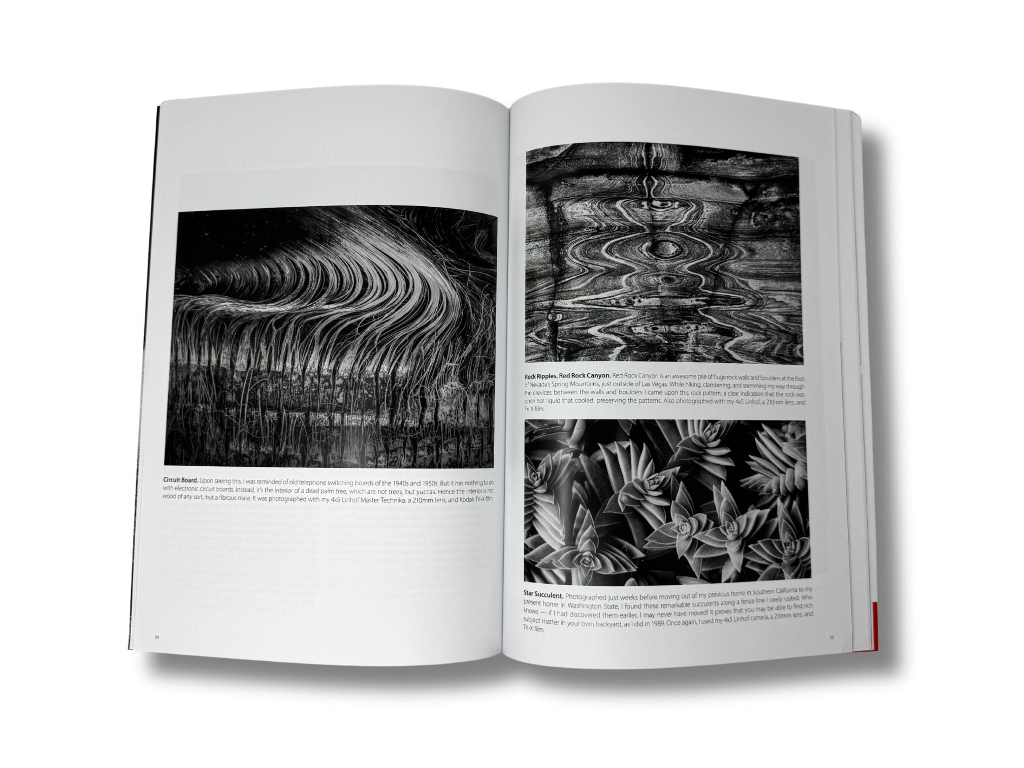 Silvergrain Classics - Film Magazine - Issue 27