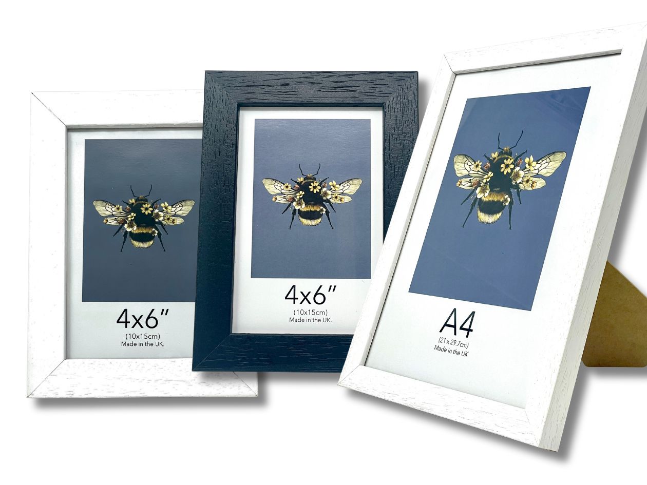 Three picture frames sized 4x6" and A4 with bee illustrations on a white background.