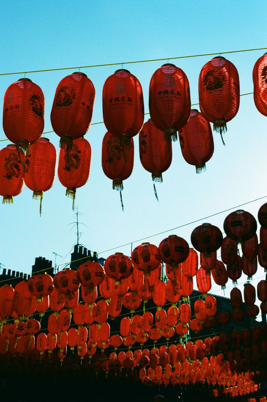 Street Candy Street Savvy - 35mm Film - Sundari Sample Image 6