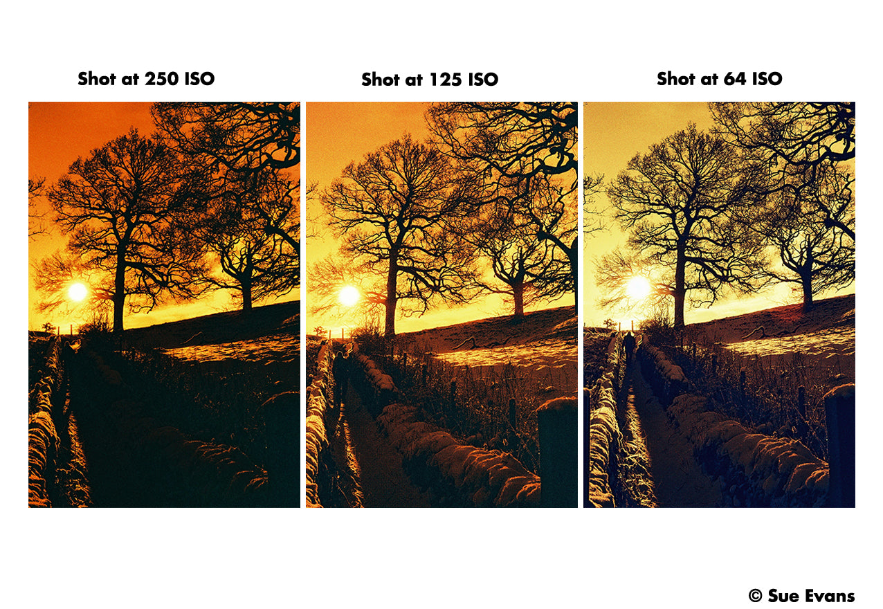 Harman Red - 35mm Film - Sue Evans Speed Comparison