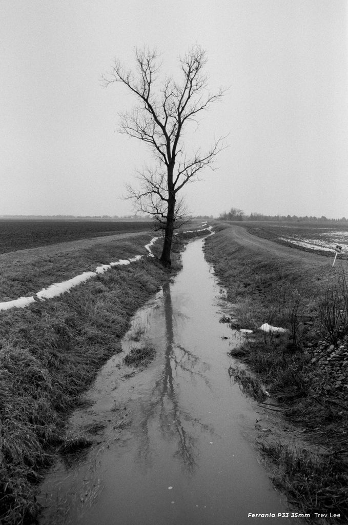 Ferrania P33 - 35mm Film - sample photo of tree and river