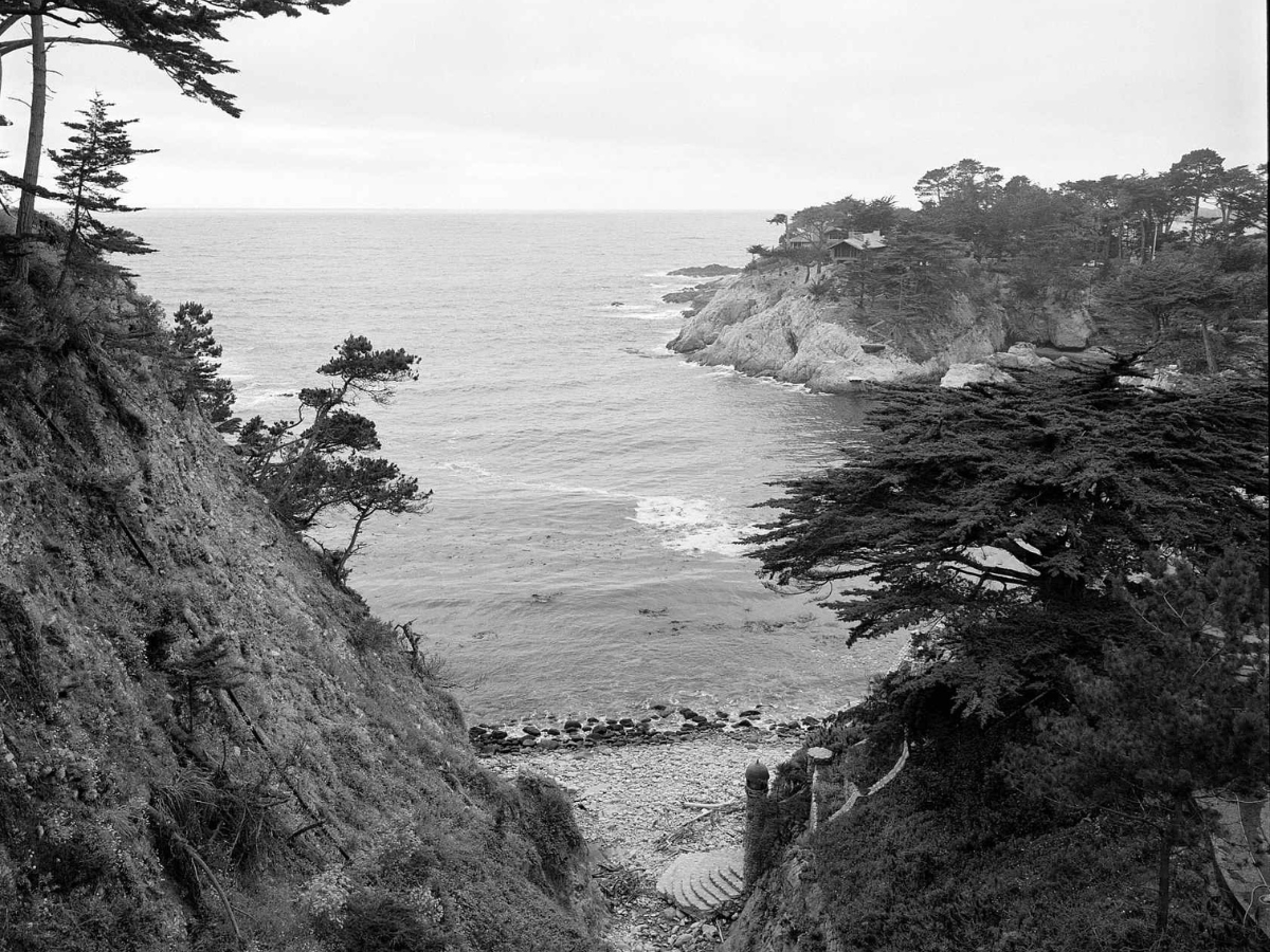 Black and white scenic view of a coastal landscape with cliffs and trees.