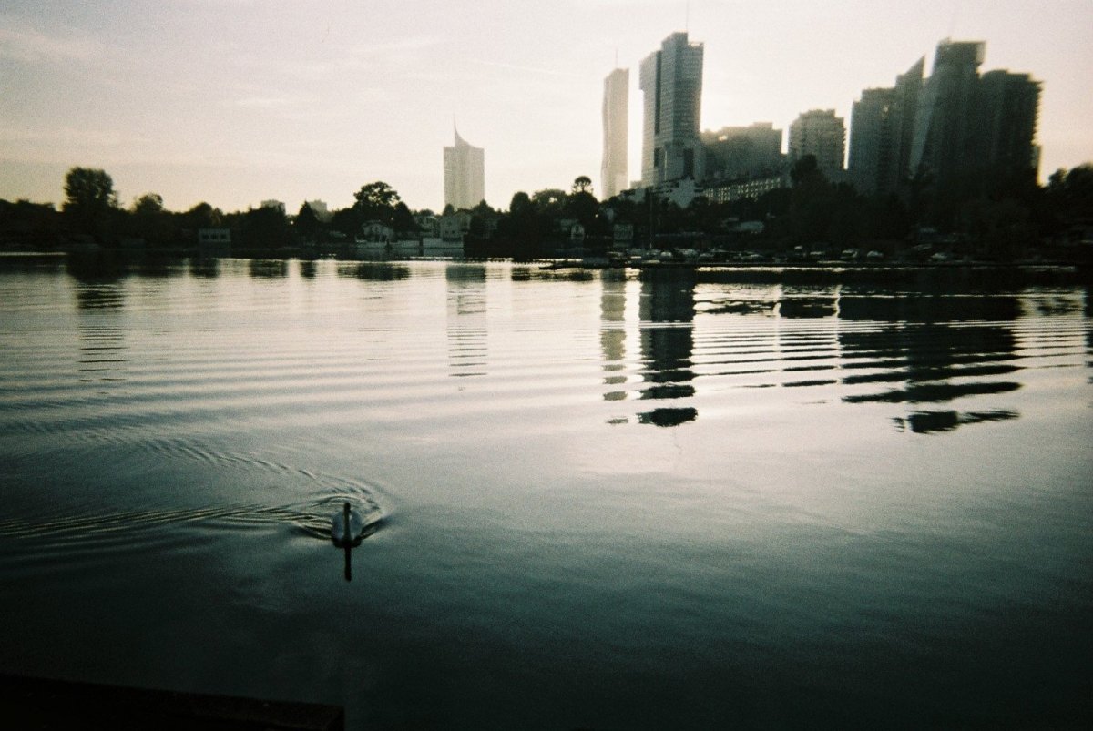 Lomography 35mm Simple-Use Camera - LomoChrome Metropolis - Analogue Wonderland - 4