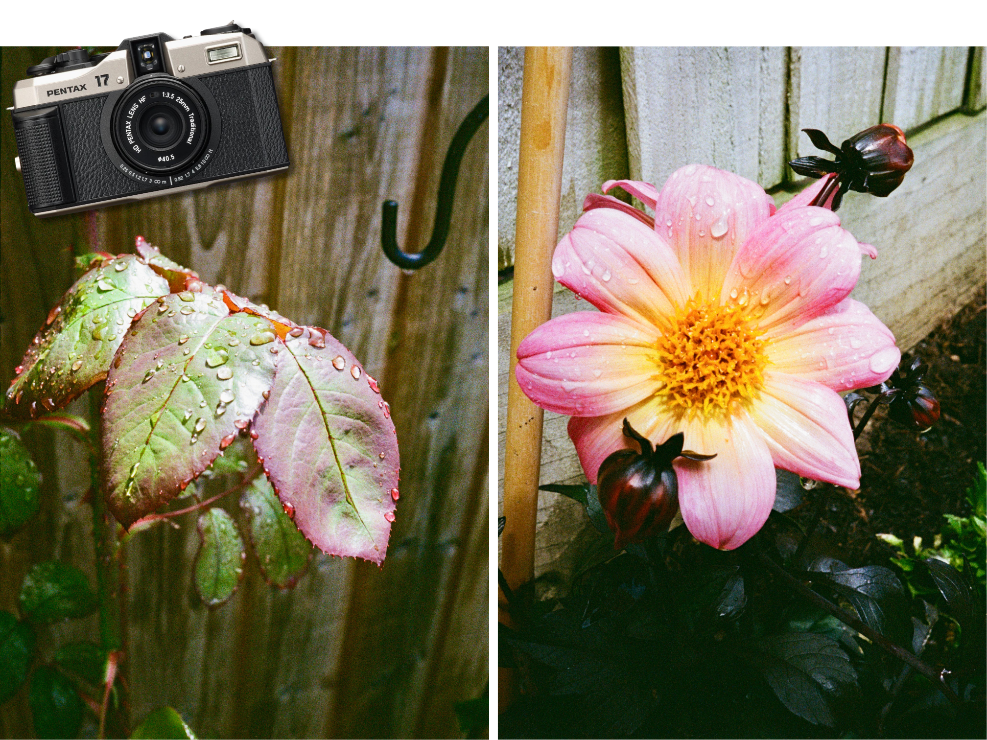 Pentax 17 Camera, Kodak Film Trio Plus Camera Bag Bundle