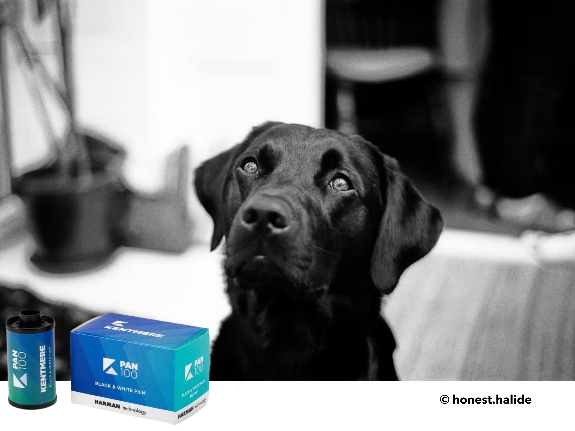 Kentmere 35mm Range Bundle