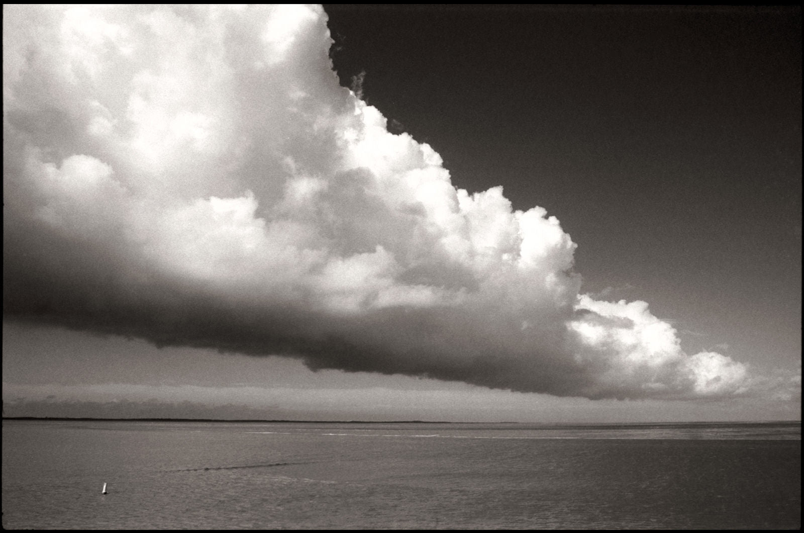 Bulk Roll - Ilford FP4 Plus - 30.5m - Analogue Wonderland