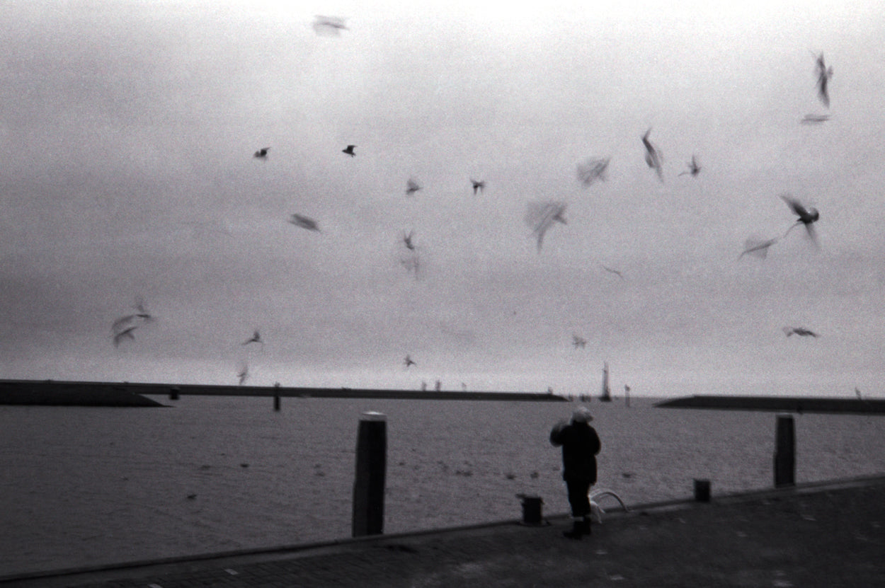 Bulk Roll - Ilford FP4 Plus - 30.5m - Analogue Wonderland