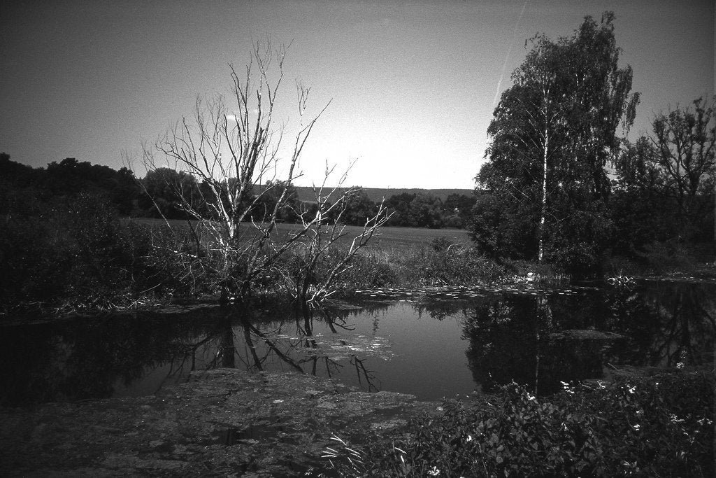 Foma Fomapan R 35mm Film Analogue Wonderland