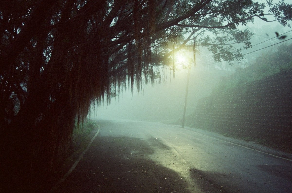 Kodak Vision 500T Analogue Wonderland - Main Image