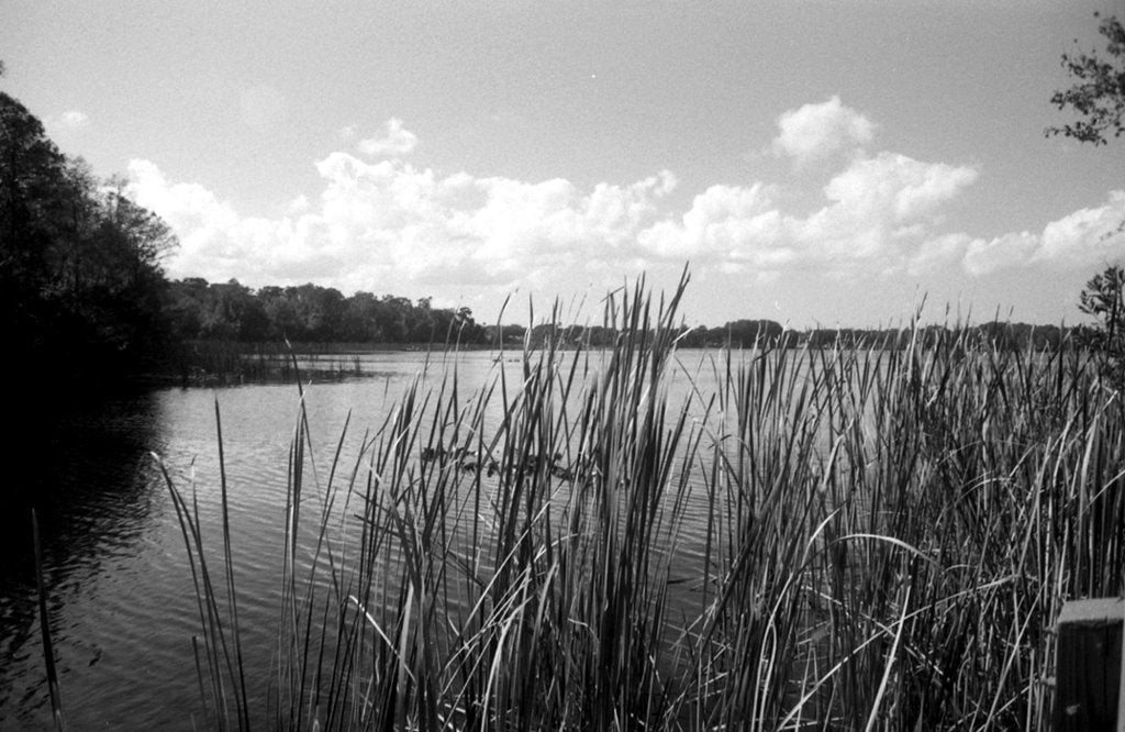 FPP Svema Foto 200 - 35mm Film - Analogue Wonderland - 3