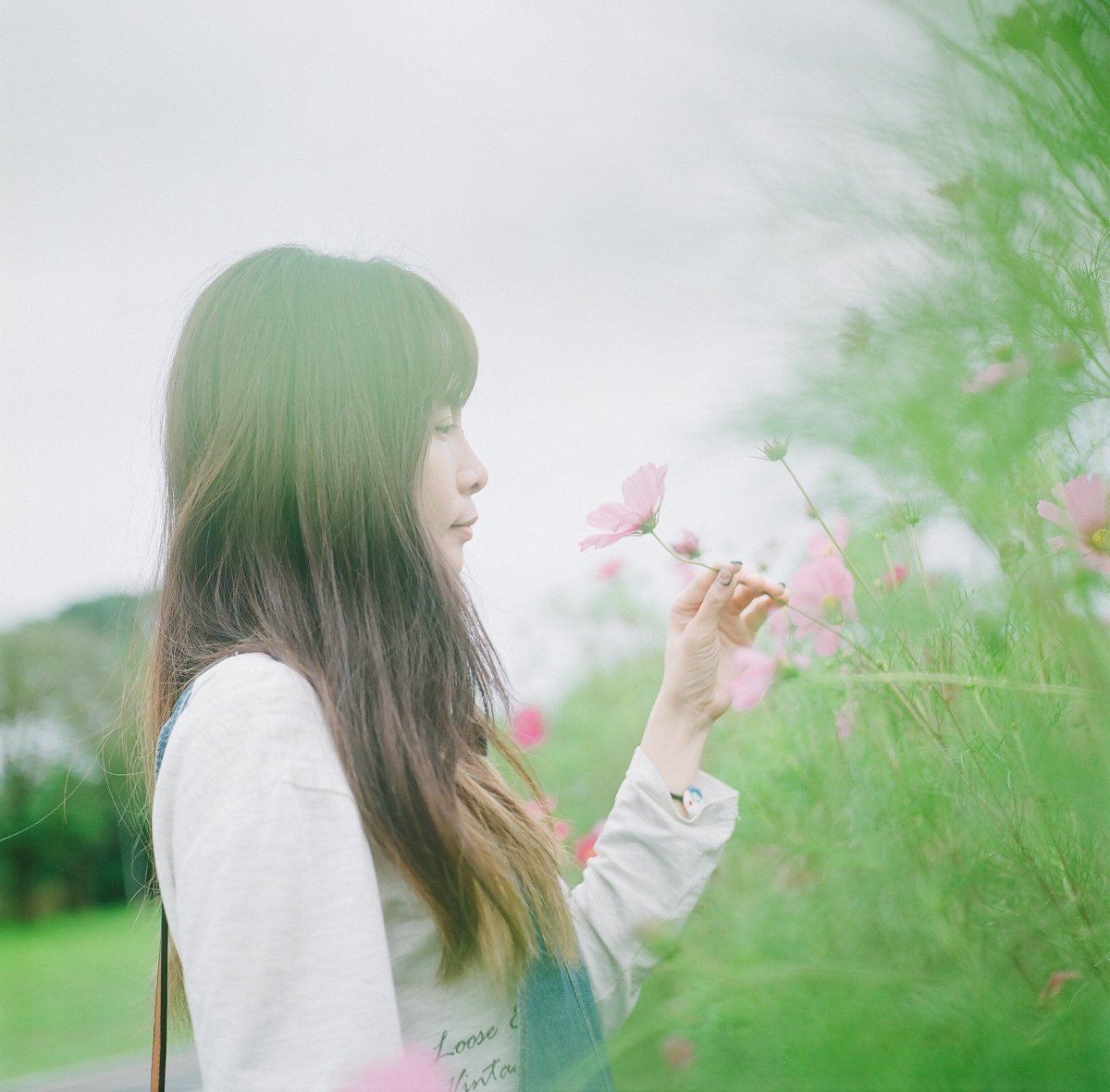 Fujifilm Pro 160NS 120 Film Analogue Wonderland - Main Image