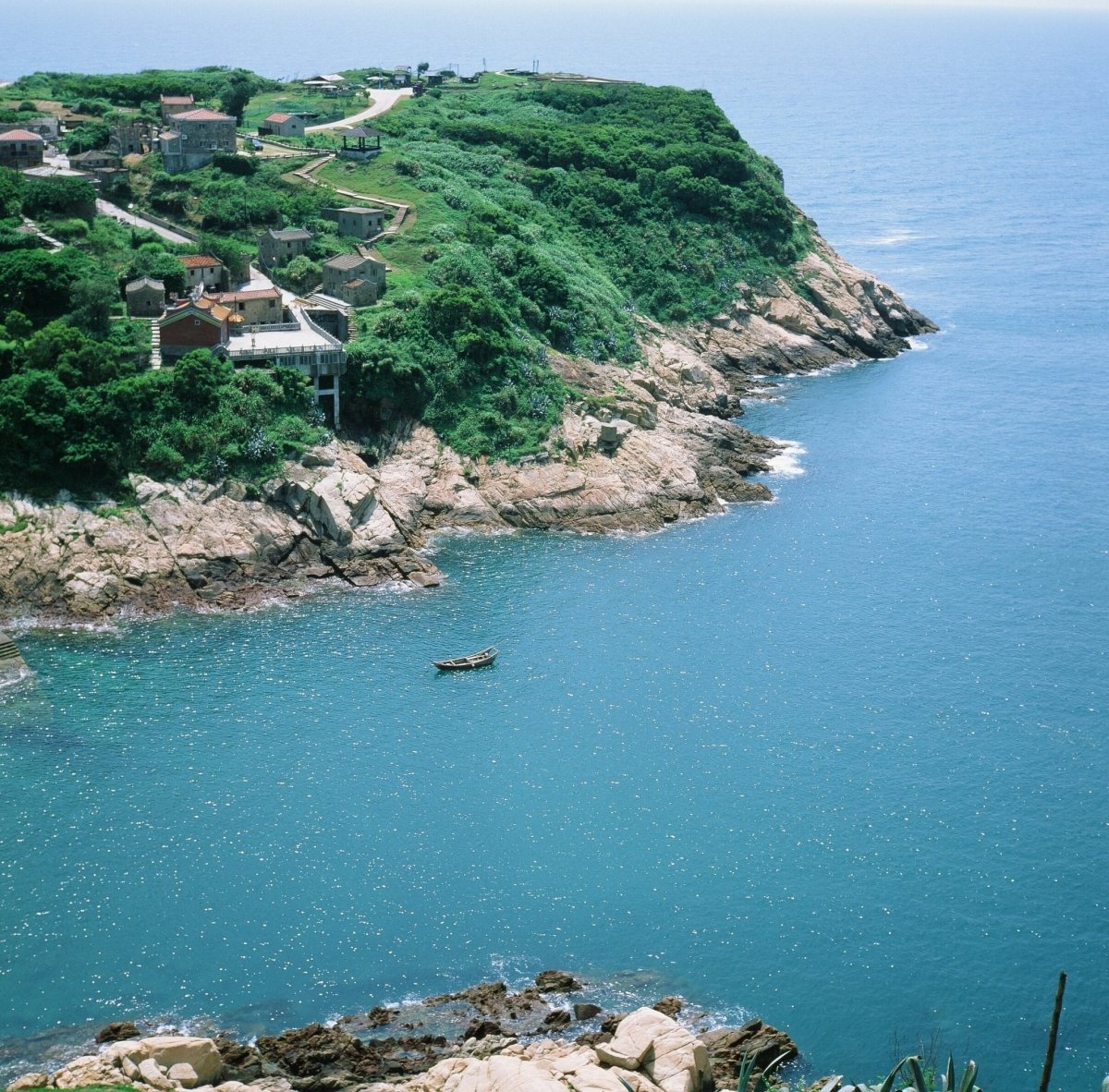 Fujifilm Velvia 50 120 Film