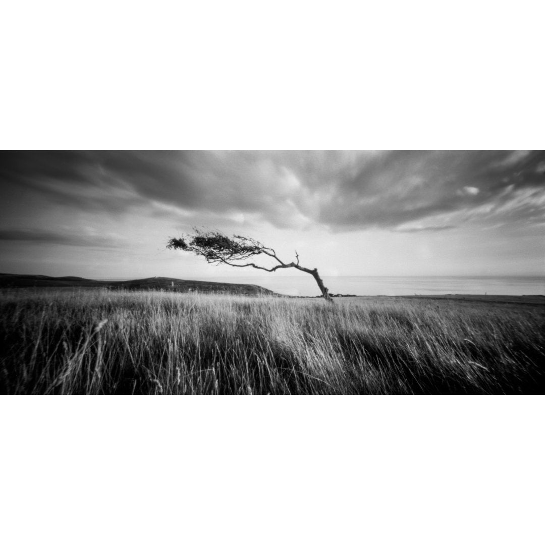 Holga 120PC Pinhole Camera - Fotocamera Stenopeica Medio Formato, Per Pellicola 120, Nero - Foto 9