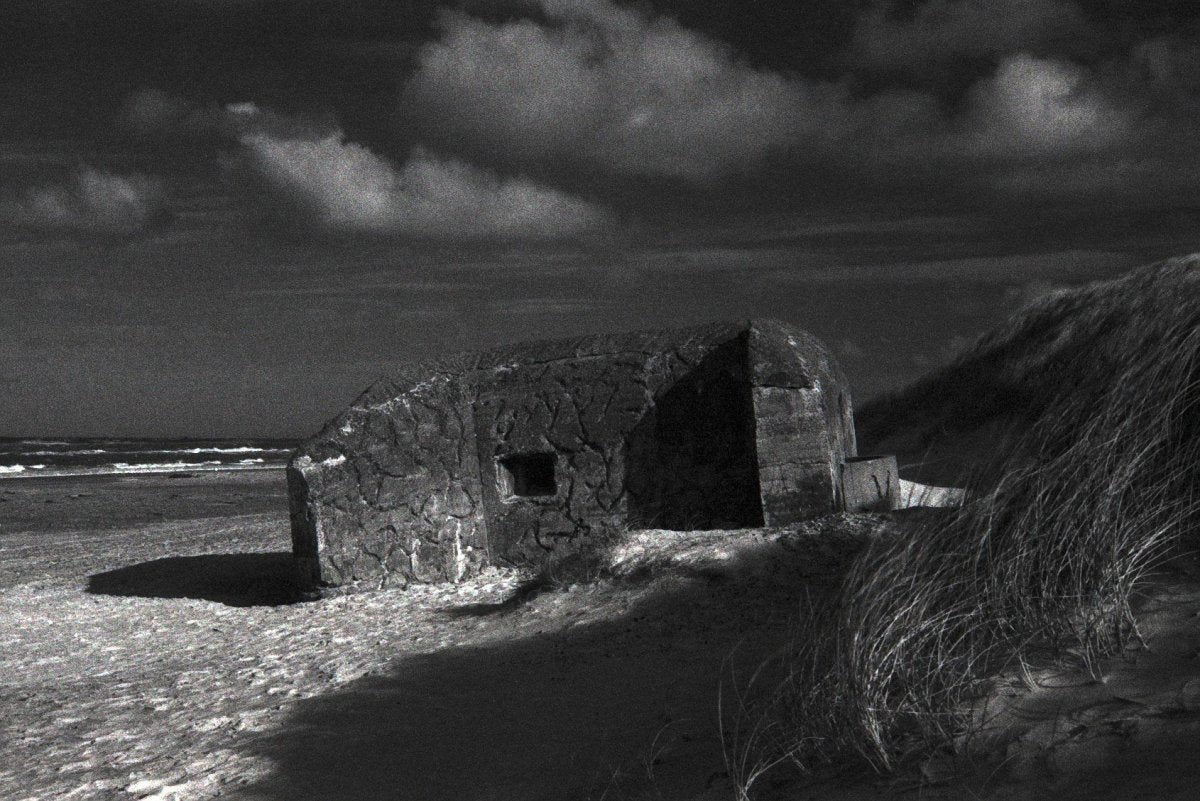 Ilford Delta 400 35mm Film Analogue Wonderland - Main Image