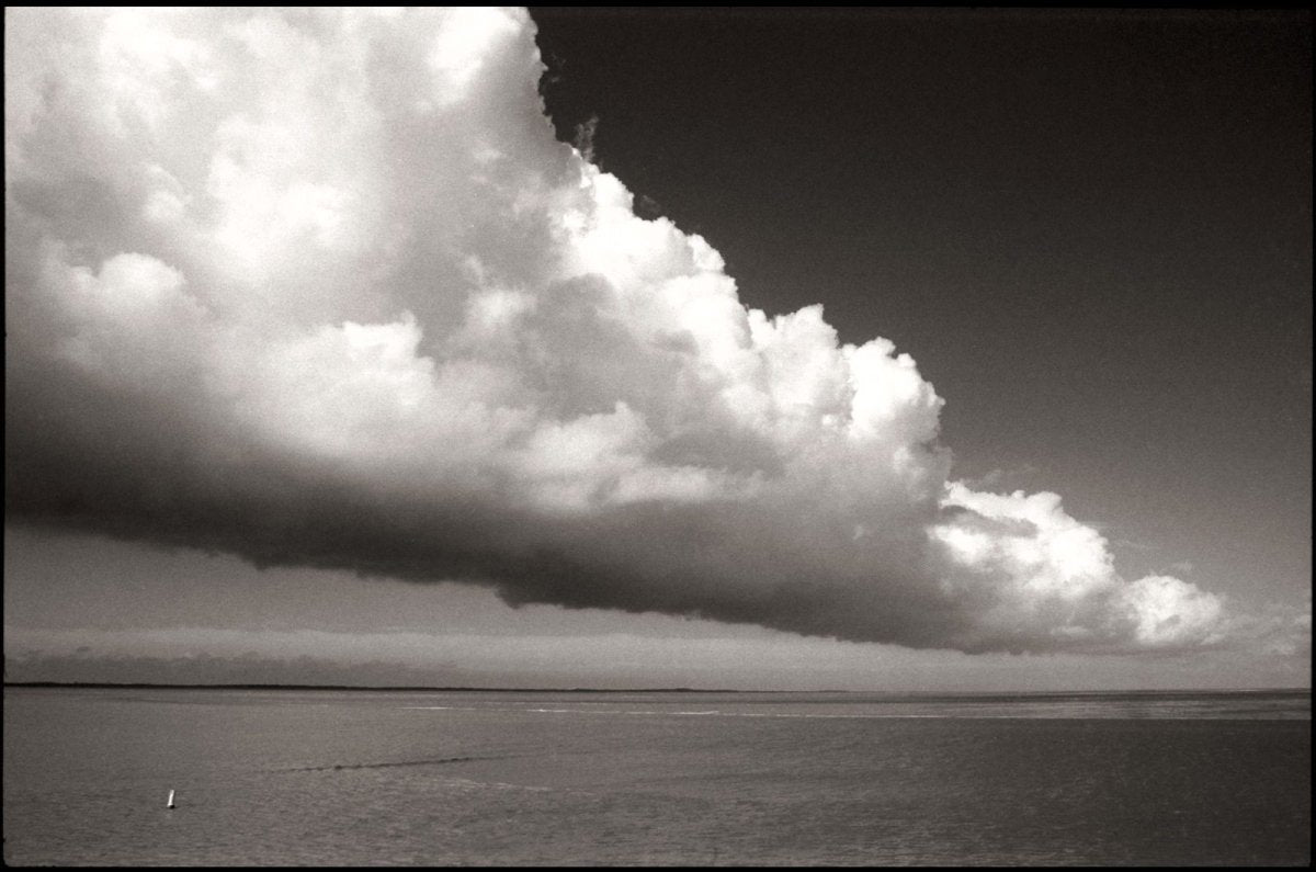Ilford FP4 Plus - 35mm Film - Analogue Wonderland