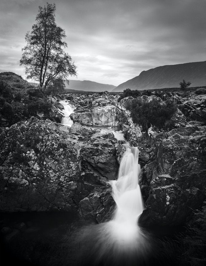 4x5 Film Ilford Ortho Ilford Ortho Plus 4x5 — Glass Key Photo