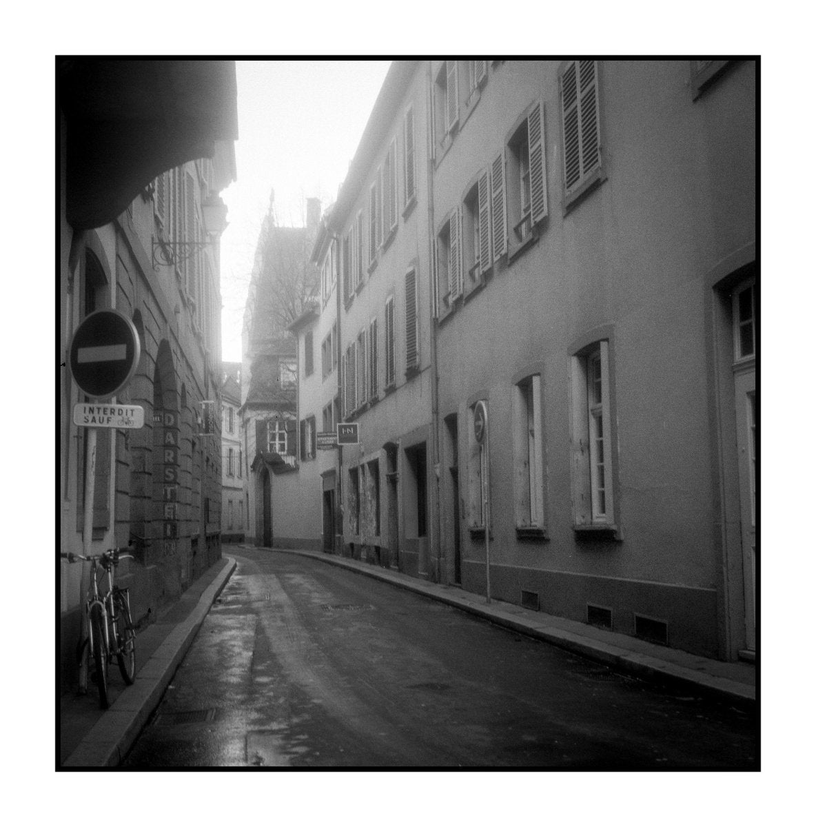 Ilford XP2 120 Film Analogue Wonderland