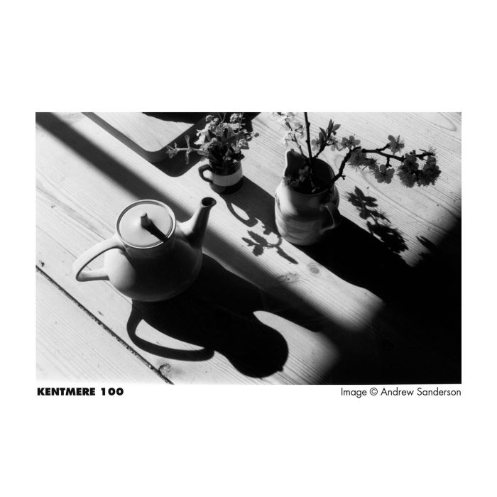 Kentmere 100 - 35mm Film - 36 exp - Analogue Wonderland - 2