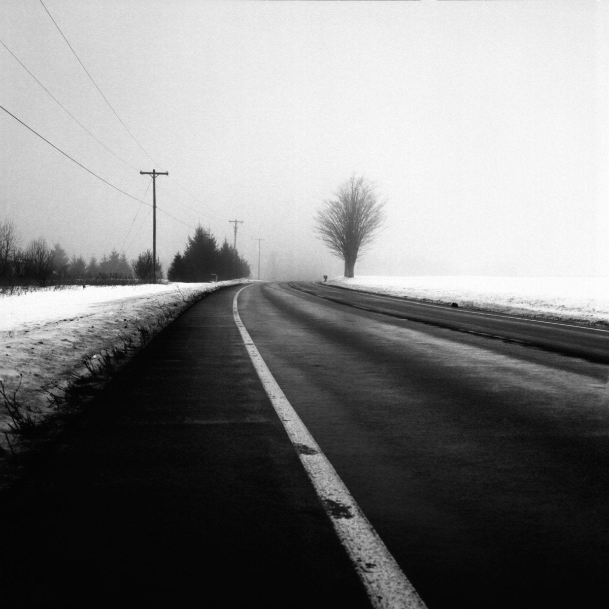 Kodak T-MAX 100 - B&W 120 Film - Analogue Wonderland