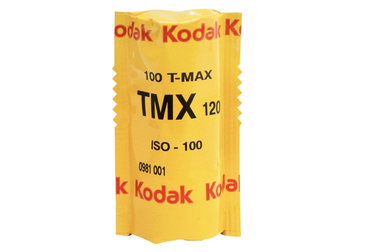 Kodak T-MAX 100 - B&W 120 Film - Analogue Wonderland - 5