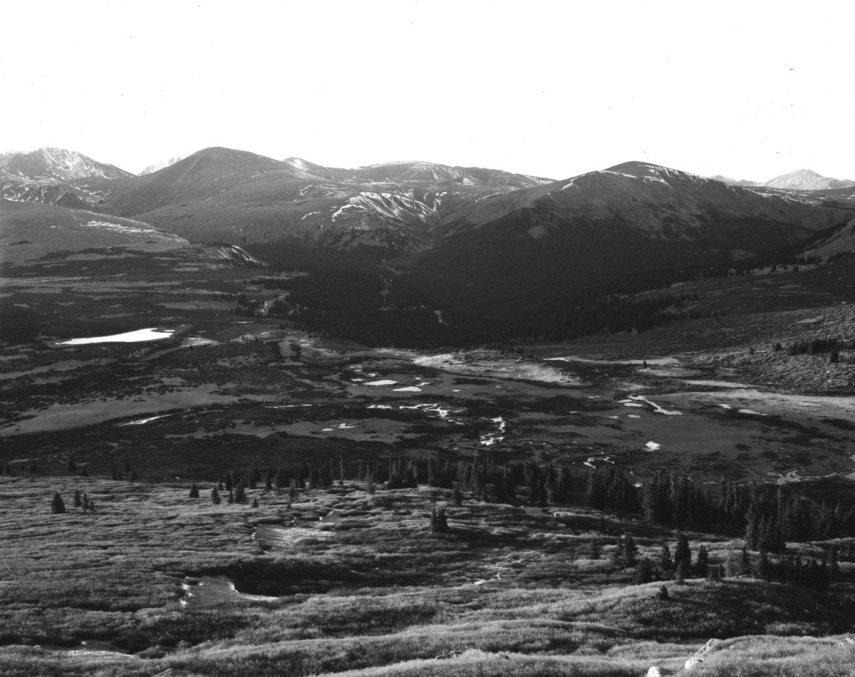 Kodak T-MAX 400 4x5 Large Format Film Analogue Wonderland