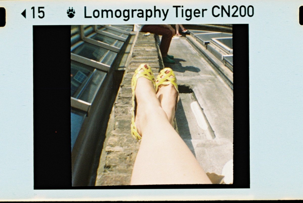 Lomography Diana Baby - 110 Film Camera - Analogue Wonderland - 4