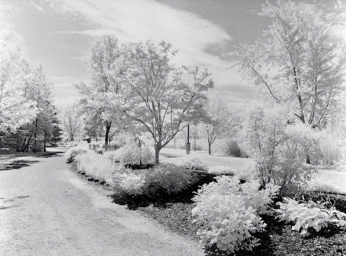 Rollei Infrared - 120 Film - Analogue Wonderland - 4