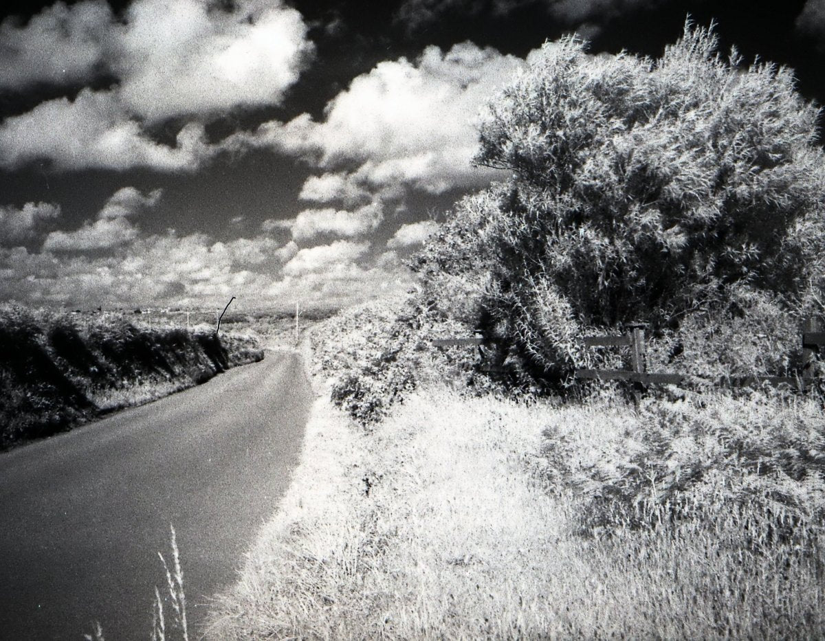 Rollei Infrared - 35mm Film - Analogue Wonderland - 2