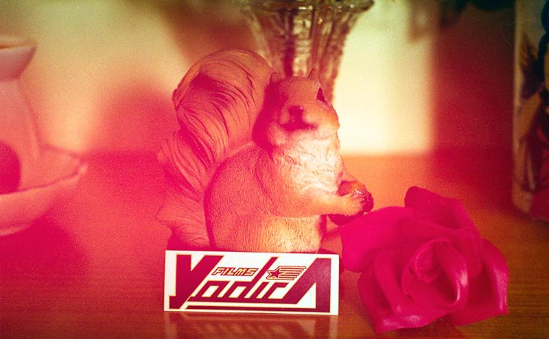 Yodica Andromeda Film 35mm Colour ISO 400 - Analogue Wonderland - 4